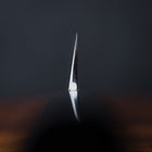 Sakai Takayuki Blue Steel Honyaki Yanagi 300mm (11.8")