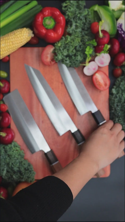 Sakai Takayuki Byakko Yanagi 270mm (10.5")